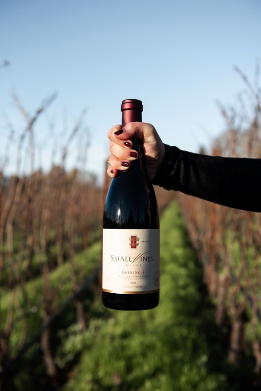 Small Vines Introduces the Inaugural vintage of the 2021 Shining S Vineyard  West Sonoma Coast Pinot Noir
