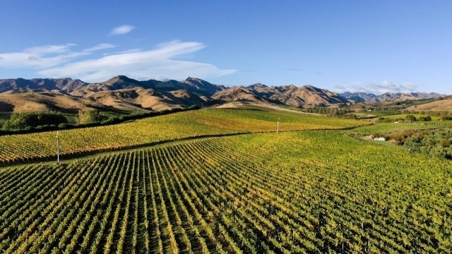 Raupo Creek Vineyard, Marlborough New Zealand, placed on market