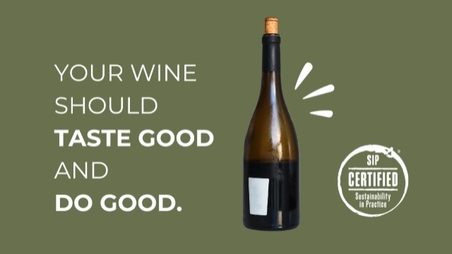 SIP Certified Unveils Brand Makeover