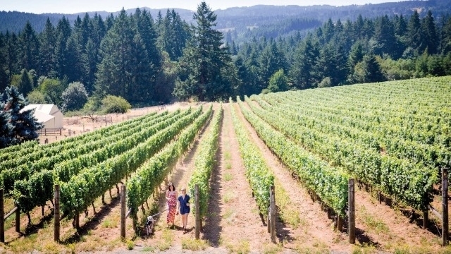 Cheers to Tualatin Valley Wines: Spring Sips Showcases the Wineries of Tualatin Valley