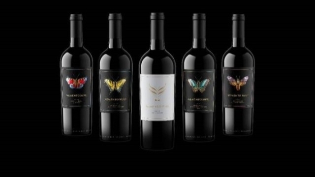 Memento Mori Unveils Bold New Look