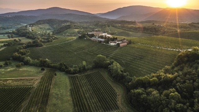 Annalisa Zorzettig at Prowein 2026: A Spring of Innovation