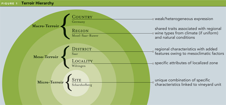 terroir - Image