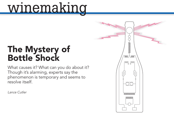 The Mystery of Bottle Shock