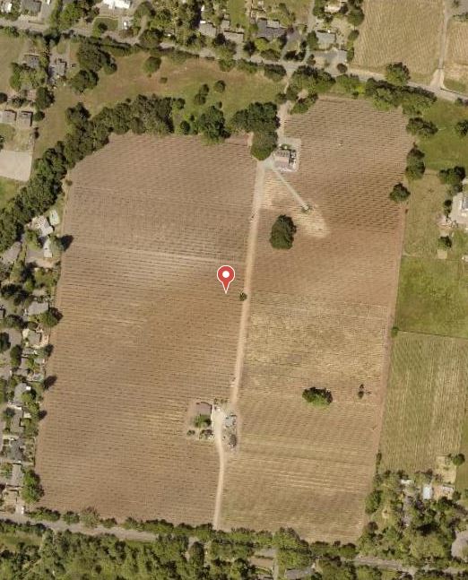 Gaylon Lawrence Jr. Buys Haynes Vineyard in Coombsville for 12.5