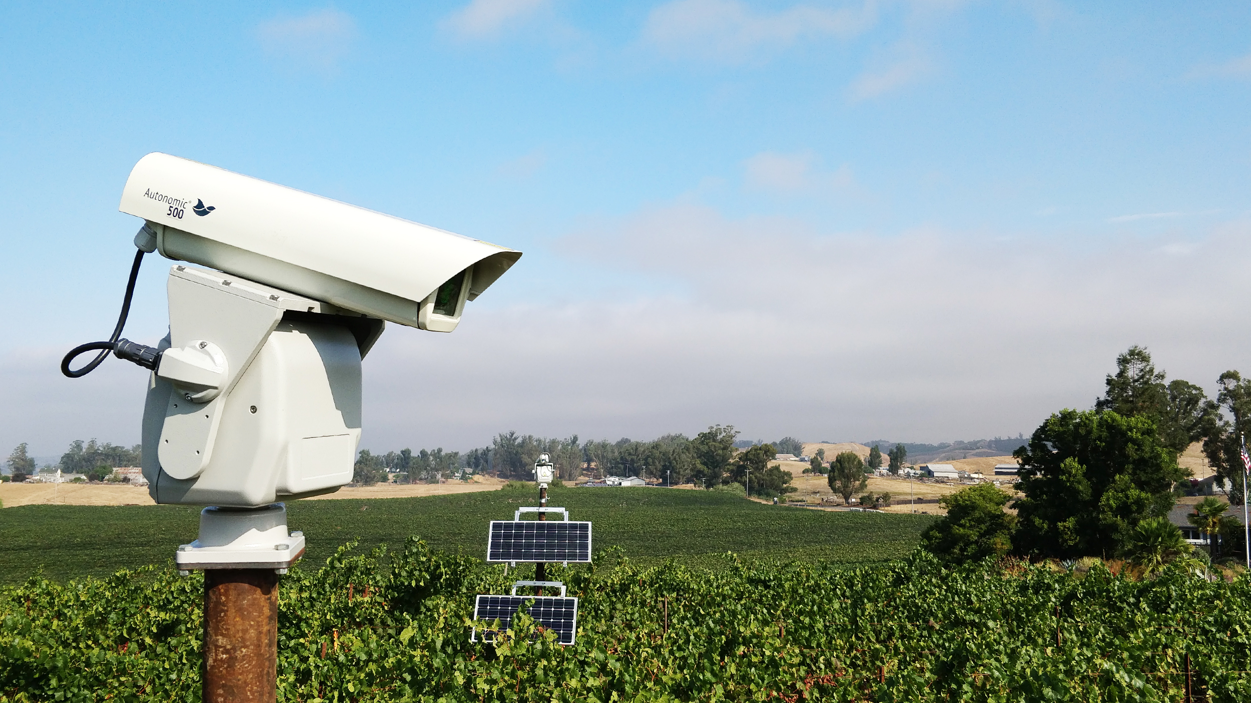 Laser Repellent Helps Grapegrowers Battle Against Birds