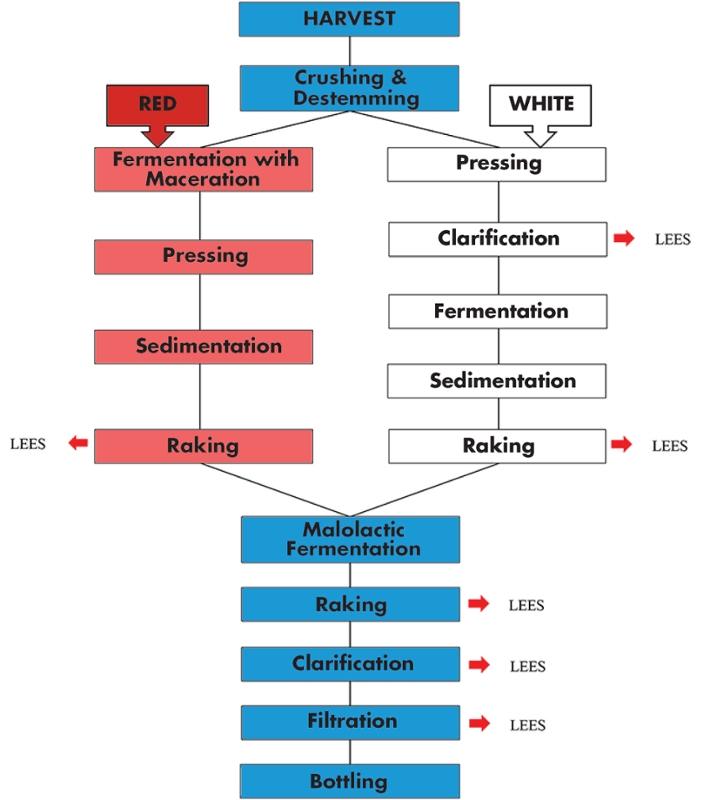 Lees Filtration Update