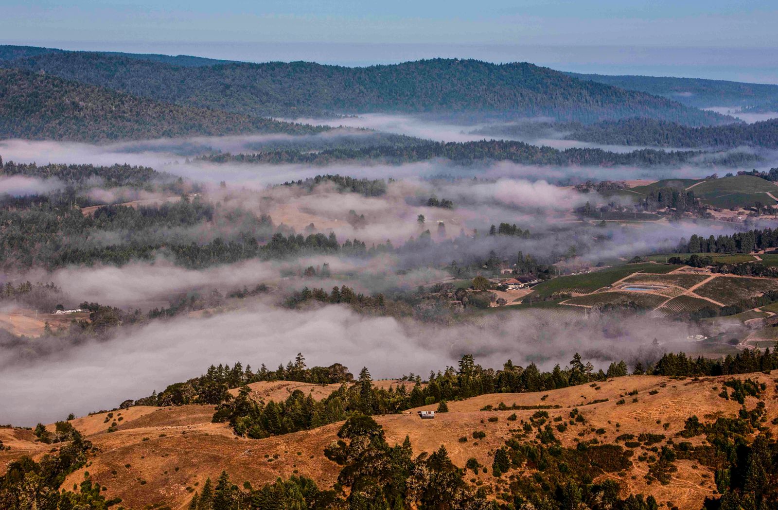 Mendocino Winegrowers Successfully Passes Mendocino County