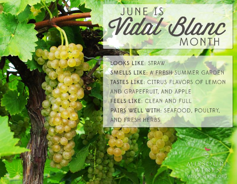 vidal grape