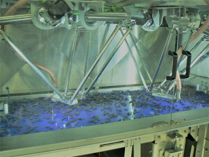 schneider delta robot