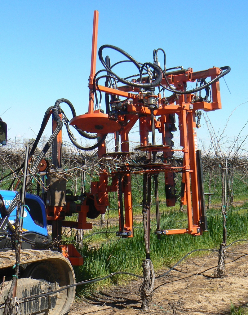 Mechanical Pruning Tools Demonstrated At Lodi Field Day