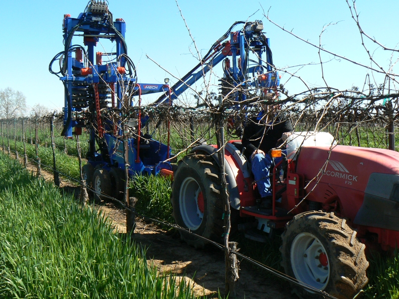 Mechanical Pruning Tools Demonstrated At Lodi Field Day