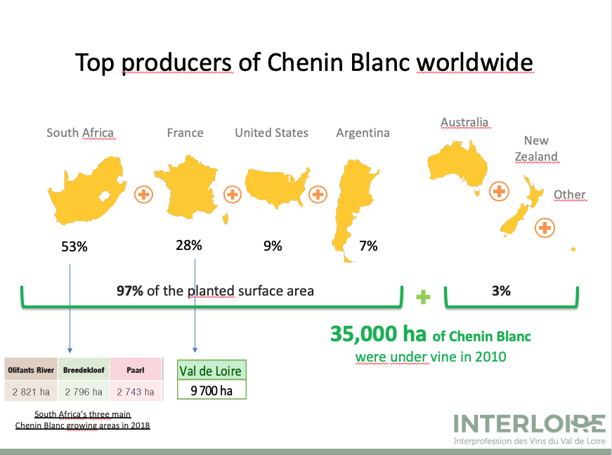 Chenin Blanc An International Grape Variety