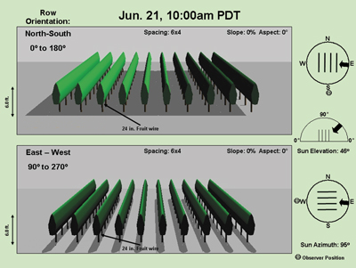 Vine Spacing Chart