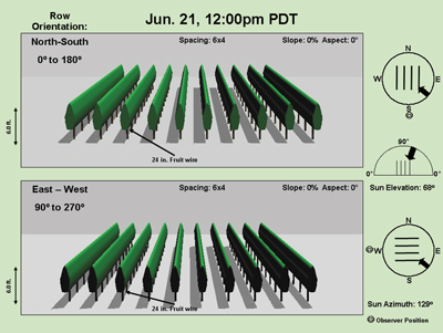 Vine Spacing Chart