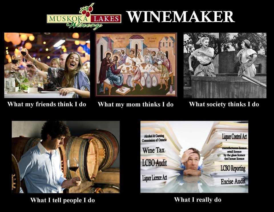 What Its Like to be a Winemaker