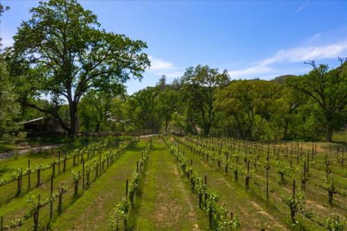 358 Acre Estate Winery