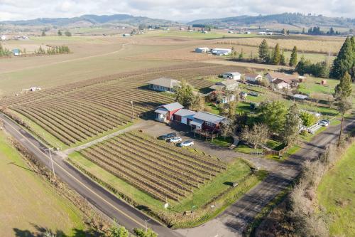 Yamhill-Carlton AVA Vineyard and Winery