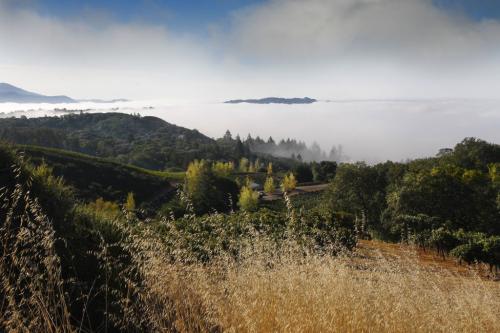 Trophy Homesite and Vineyard.