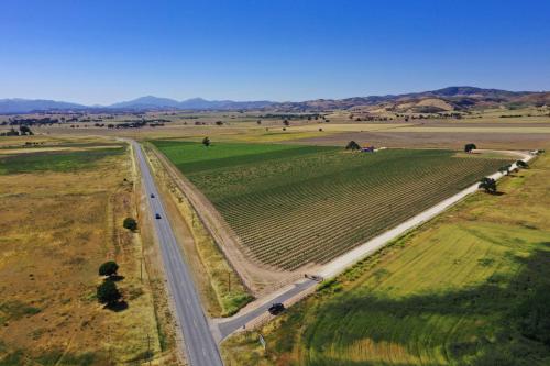 Southern Monterey County Vineyard Getaway