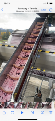 Defranceschi Elevating Conveyor