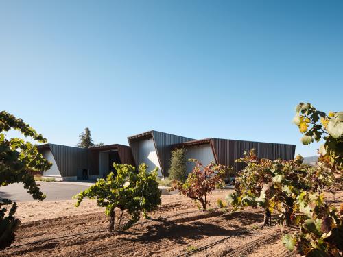 Harvest Lab and Cellar Techician