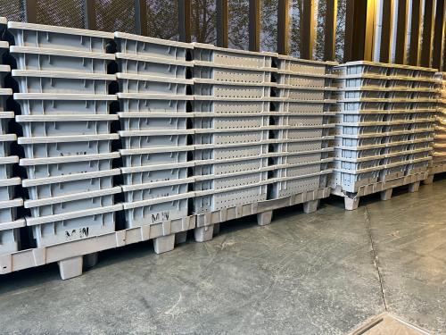 Used Picking Bins /<wbr> Lugs-Gray color