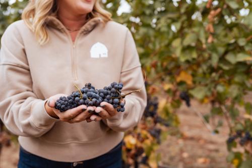 2025 Willamette Valley Pinot Noir