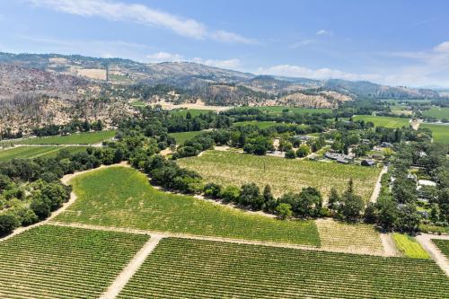 Calistoga AVA Vineyard