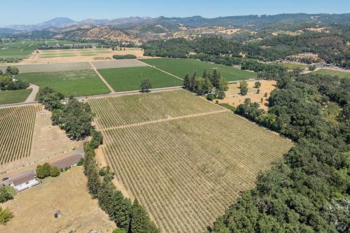 Rutherford AVA Cabernet Vineyard