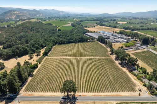 Rutherford AVA Cabernet Vineyard