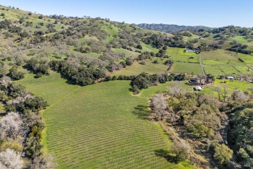 8.8 +/<wbr>- Acre Solano/<wbr>Napa County Cabernet Vineyard