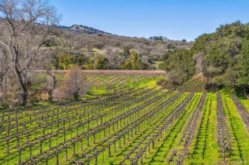 8.8 +/<wbr>- Acre Solano/<wbr>Napa County Cabernet Vineyard