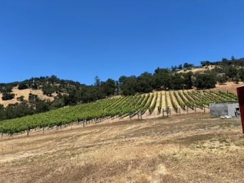 Zinfandel 2025 $2000/<wbr>ton or best offer