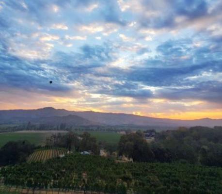 KEEVER VINEYARDS 2025 HARVEST CELLAR INTERNSHIP