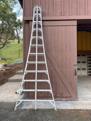 10x 14ft Orchard Ladders