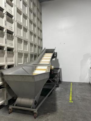 Incline Conveyer