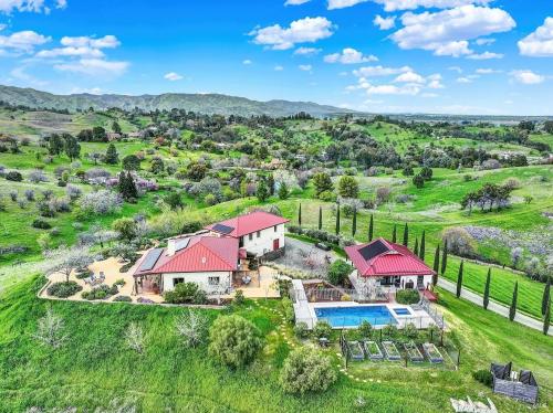 Olive Orchard, Custom Estate with Guest House