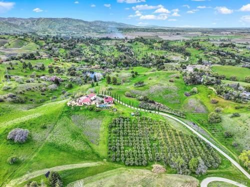Olive Orchard, Custom Estate with Guest House