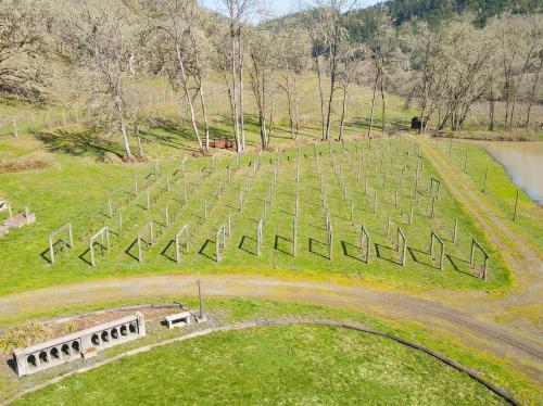 Boutique Oregon Vineyard Home