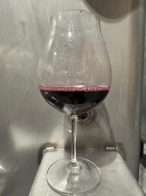 '23 Syrah