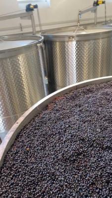 3000 Gal Jacketed Wine Tanks