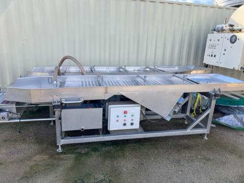 BURGSTAHLER GRAPE SORTING CONVEYOR