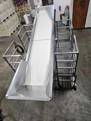 Incline Conveyor/<wbr>Sorting line
