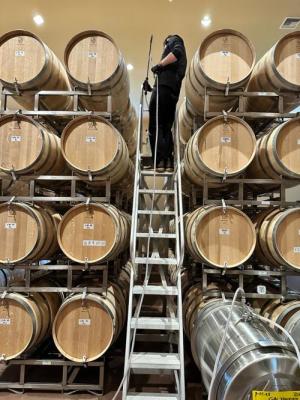 Premium Used French Oak Barrels