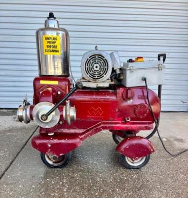 Manzini 4' Piston Pump