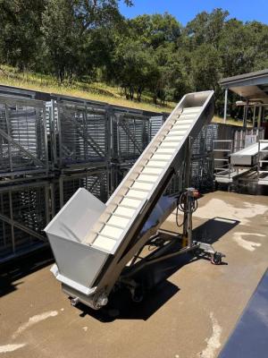 Small P&L Consista-Flo Conveyor with hopper