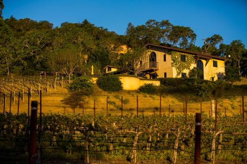 Tasting Room Associate and Wine Society Director