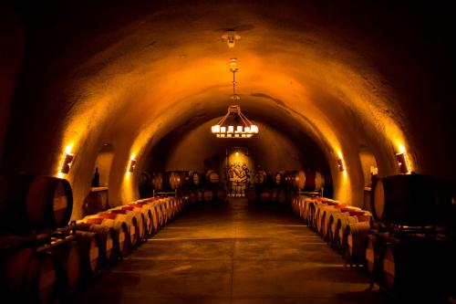 Tasting Room Associate and Wine Society Director