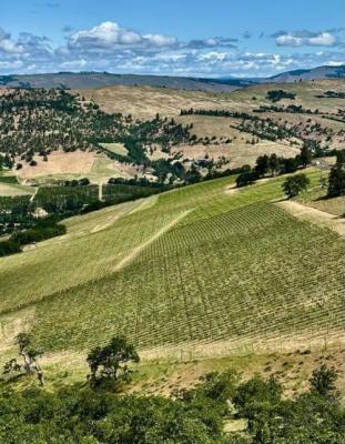 Columbia Gorge Italian, Rhone and BDX